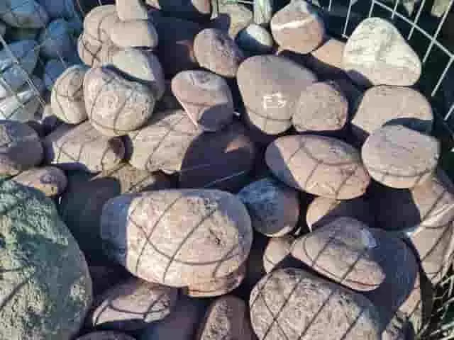 vöröses sima mészkövek